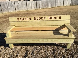 The Badger Buddy Bench: A Solution for Playground Loneliness