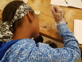 Mr. Sawatsky's Science Class