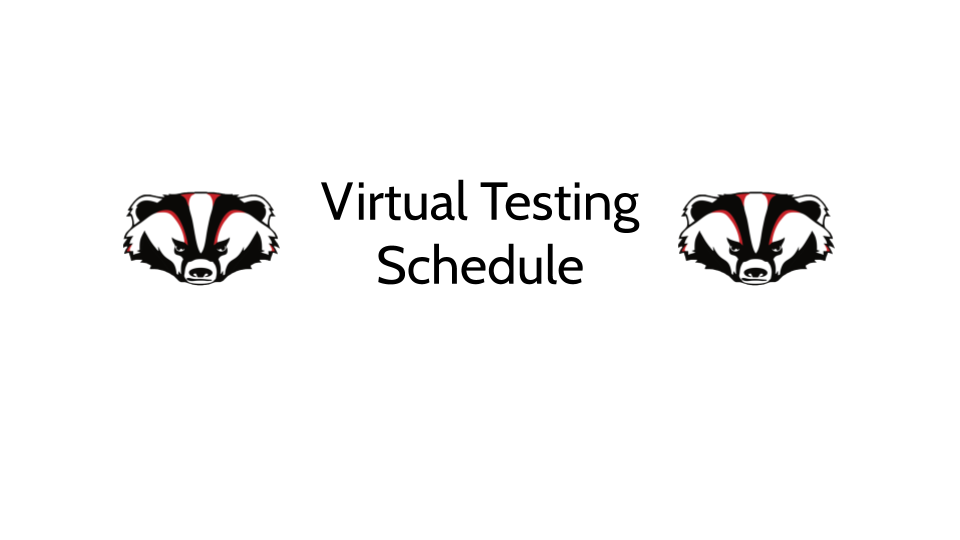 Virtual Student Required Testing