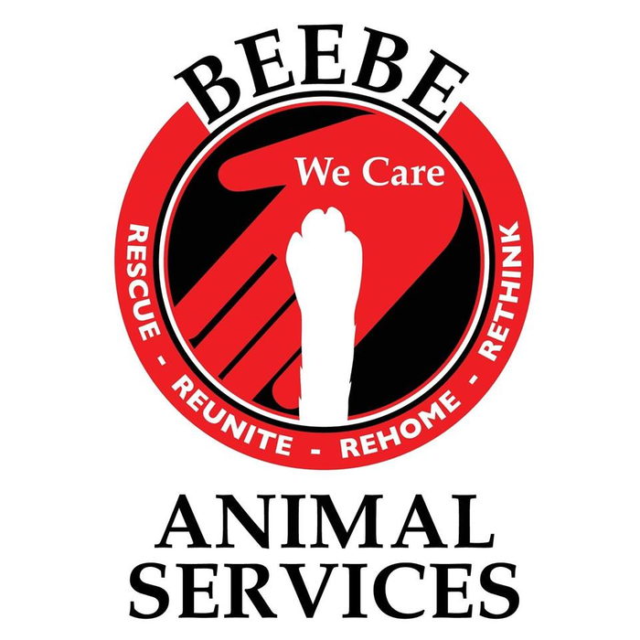 Animal Services